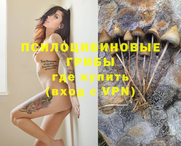 гидропоника Алзамай