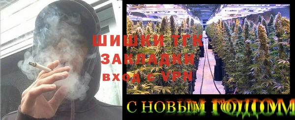 гидропоника Алзамай