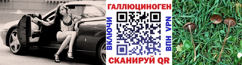Галлюциногенные грибы прущие грибы  Калачинск 
